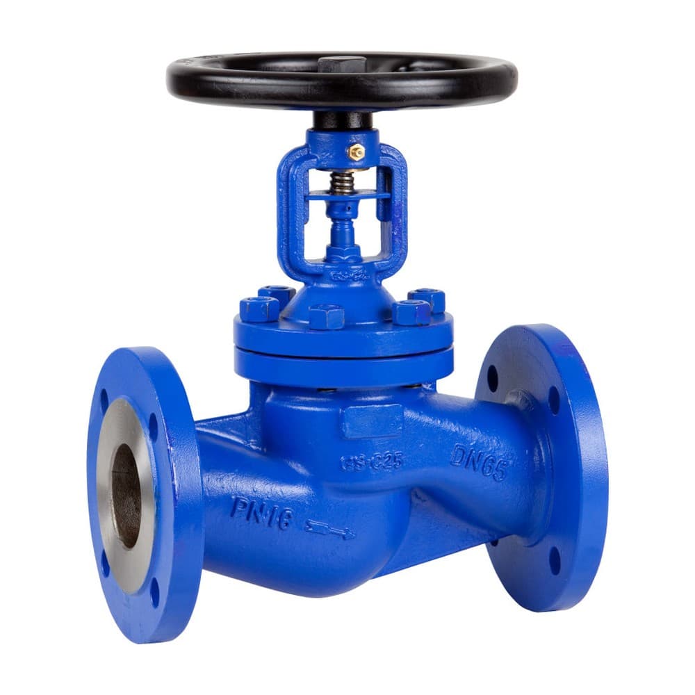 Forged Globe Valve (API 602)