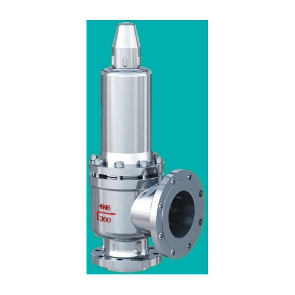 Safety Relief Valve