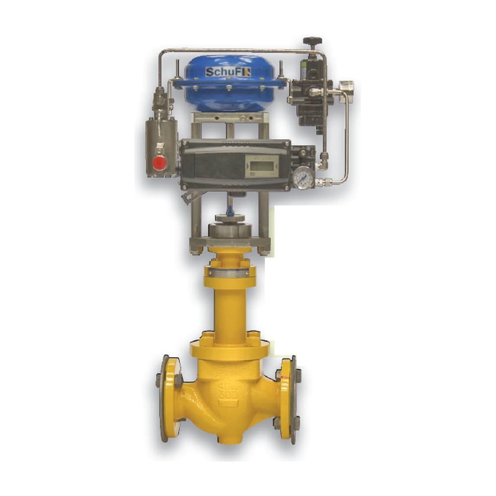 Severe Service Control Valve